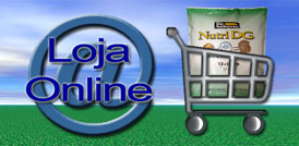 Loja On line